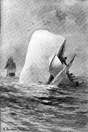 Image of Moby Dick