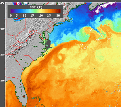 A current in the Atlantic Ocean that starts off the coast of Florida and moves northward along the east coast of the United States and then turns eastward toward Europe.  This current provides a stream of warmer water along the coast and influences the climate in the eastern United States. (Image of the Sea Surface Temperature map, with the Gulf Stream showing in dark orange.  Image by NASA).  <BR><BR>