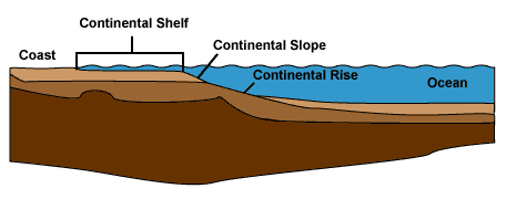 The area of shallow ocean that borders each continent.  These areas were dry and exposed during glaciation.  Because these areas are shallow  (< 650 ft or 200 m) and have good light, they have a lot of life. The area where the continental shelf ends is marked by the 100-fathom line (image by Office of Naval Research). <BR><BR>