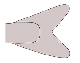 A tail of a fish or mammal that has two lobes of similar shape and size.<BR><BR>