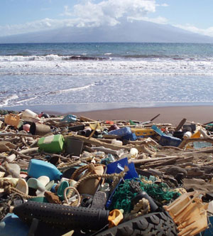 Plastic debris piled on the coast of Hawaii